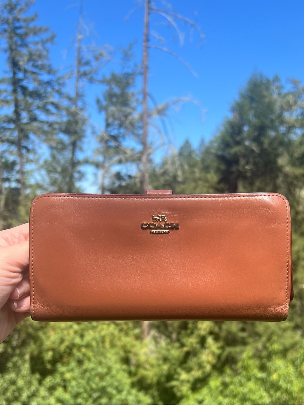 COACH Corral Orange Leather Wallet Clutch Slim w Gold Hardware AUTHENTIC